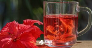 cha de hibisco para emagrecer - imagem - blog saúde sem segredo